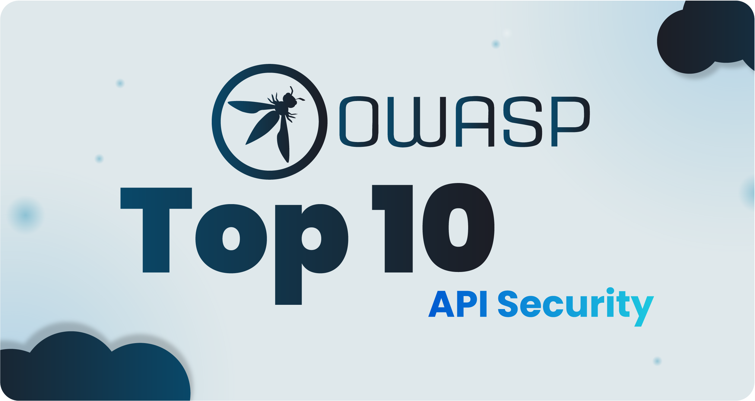 Top 10 OWASP API Security Risks: An Essential Guide