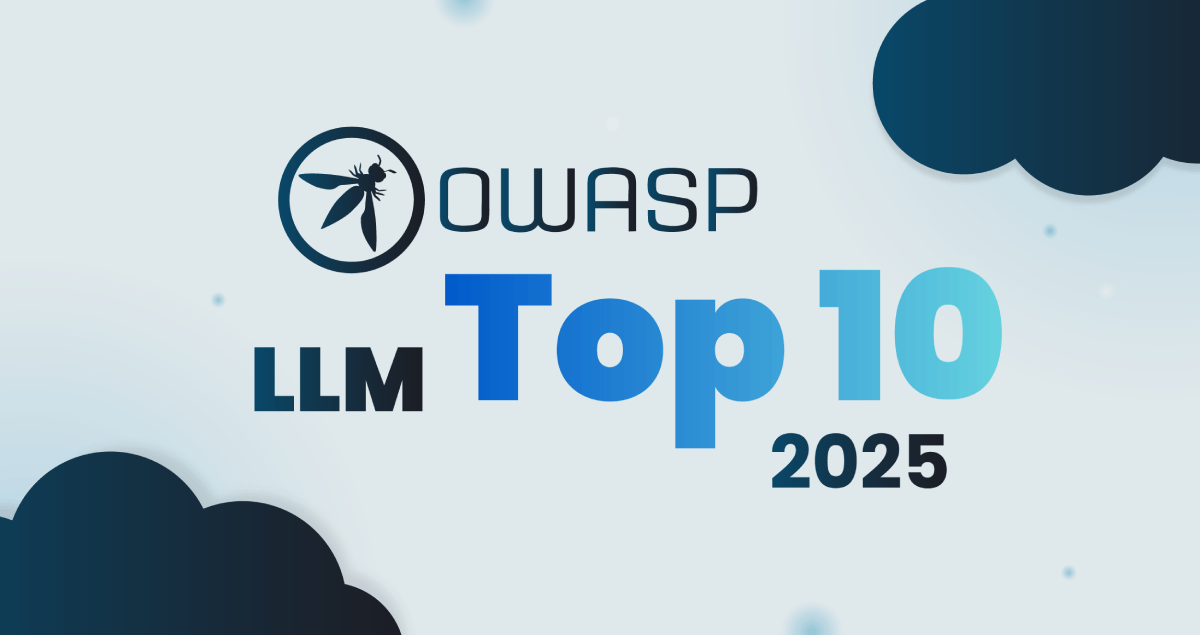 Practical Training for 2025 OWASP LLM Risks